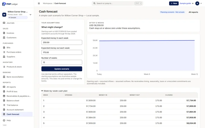 Cash forecast screen with weekly assumptions of 250.00 in and 175.00 out over 12 weeks, a projection of USD 58,559.00 after 12 weeks and a week-by-week cash plan table.